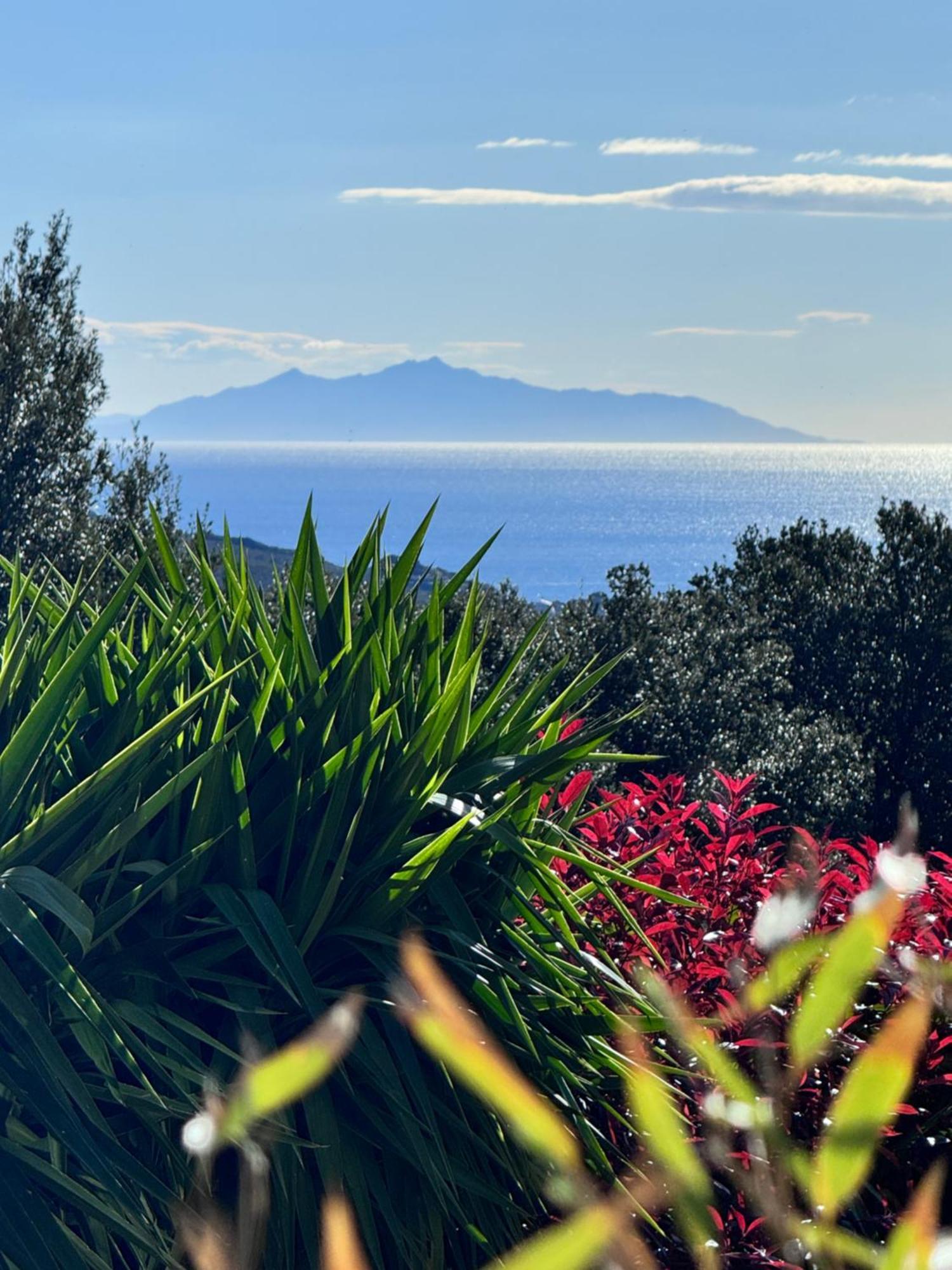 Gite Independant Dans Villa Entre Mer Et Maquis Sisco Екстер'єр фото